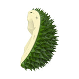 Massage Comb Pet Grooming Brush Removal Tool Scratcher Cats Self Groomer Green - Aladdin Shoppers
