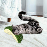 Massage Comb Pet Grooming Brush Removal Tool Scratcher Cats Self Groomer Green - Aladdin Shoppers