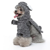 Pet Costume Suit Standing Clothes Party Birthday Dress up Soft Raccoons - Aladdin Shoppers