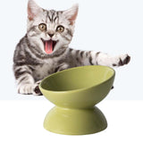 Elevated Cat Food Bowl Kitten Supplies Feeding Raised Tilted Pet Feeder - Aladdin Shoppers