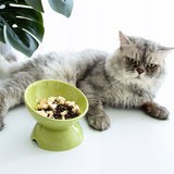 Elevated Cat Food Bowl Kitten Supplies Feeding Raised Tilted Pet Feeder - Aladdin Shoppers