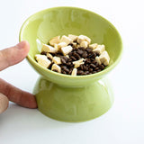 Elevated Cat Food Bowl Kitten Supplies Feeding Raised Tilted Pet Feeder - Aladdin Shoppers
