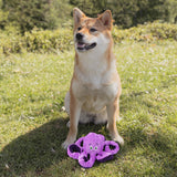 Dog Plush Toy Dog Squeaky Toy Cats Aggressive Chewers Play Tug Sturdy Violet - Aladdin Shoppers