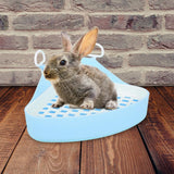 Triangle Potty Trainer Toilet Corner Litter Box for Chinchillas Supplies Blue - Aladdin Shoppers