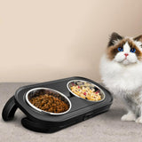 Kitten Food Bowl Stand for Dogs Cats Food Container Elevated Feeder AntiSlip - Aladdin Shoppers
