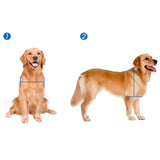 2 Way Dogs Door Flap Mount Secure Window Pet Supplies Wall with Closing Panel 38.6x52x1.8cm - Aladdin Shoppers
