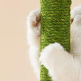 Cute Cactus Cat Scratching Posts Stylish with 3 Scratching Poles Stable - Aladdin Shoppers