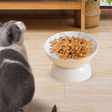 Raised Pet Feeder Water Drinking Bowl Dog Bowl Stable Elevated Cat Bowl Blue - Aladdin Shoppers