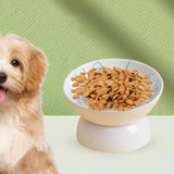 Raised Pet Feeder Water Drinking Bowl Dog Bowl Stable Elevated Cat Bowl Blue - Aladdin Shoppers