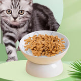 Raised Pet Feeder Water Drinking Bowl Dog Bowl Stable Elevated Cat Bowl Blue - Aladdin Shoppers