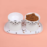 Elevated Cat Food Bowl Pet for Small Dog Ceramic Raised Tilted Pet Feeder - Aladdin Shoppers