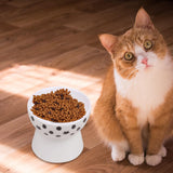 Elevated Cat Food Bowl Pet for Small Dog Ceramic Raised Tilted Pet Feeder - Aladdin Shoppers