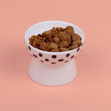 Elevated Cat Food Bowl Pet for Small Dog Ceramic Raised Tilted Pet Feeder - Aladdin Shoppers