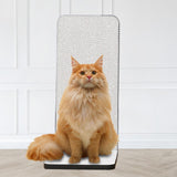 Foldable Cat Scratcher Kitten Play Activity Rest Claw Scratching Board White - Aladdin Shoppers