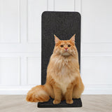 Foldable Cat Scratcher Kitten Play Activity Rest Claw Scratching Board Black - Aladdin Shoppers