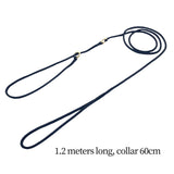 Dog Leash Traction Rope Metal Buckle Dog Slip Rope for Hiking Dogs Cats - Aladdin Shoppers