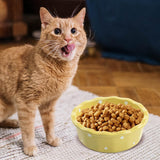 Cat Bowl Stable Dog Bowl Cat Food Plate Pets Feeding Station Pet Feeder Yellow - Aladdin Shoppers