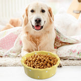 Cat Bowl Stable Dog Bowl Cat Food Plate Pets Feeding Station Pet Feeder Yellow - Aladdin Shoppers