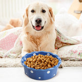Cat Bowl Stable Dog Bowl Cat Food Plate Pets Feeding Station Pet Feeder Blue - Aladdin Shoppers