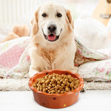Cat Bowl Stable Dog Bowl Cat Food Plate Pets Feeding Station Pet Feeder Orange - Aladdin Shoppers