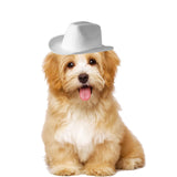 Cute Pets Hat Headwear Nonwoven Fabric Soft for party wearing Holiday White - Aladdin Shoppers