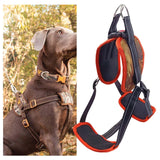 Pet Vest Harness Reflective Padded Running Cats Walking Outdoor Dog Harness - Aladdin Shoppers