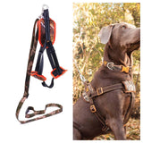 Pet Vest Harness Reflective Padded Running Cats Walking Outdoor Dog Harness - Aladdin Shoppers