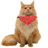 Cat Neck Scarf Bandana Accessories Neckerchief Tie Medium Large Dogs Red - Aladdin Shoppers