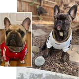 Metal Dog Chain Collar Training Necklace Choker Heavy Duty Chew Proof Strong 30.5cm Aureate - Aladdin Shoppers