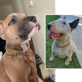 Metal Dog Chain Collar Training Necklace Choker Heavy Duty Chew Proof Strong 30.5cm Aureate - Aladdin Shoppers