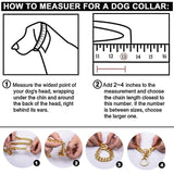 Metal Dog Chain Collar Training Necklace Choker Heavy Duty Chew Proof Strong 30.5cm Aureate - Aladdin Shoppers
