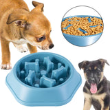 Pet Slow Feeder Dog Bowl Slow Eating Dish Bowl Food Plate Anti Choking Blue - Aladdin Shoppers