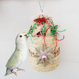 Bird Chewing Toy Decorative Bird Parrot Toy for Parrots Playing Parakeet - Aladdin Shoppers