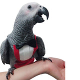 Pet Diapers Clothes Hoodie Bird Accessories for Cosplay Halloween Party L - Aladdin Shoppers