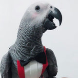 Pet Diapers Clothes Hoodie Bird Accessories for Cosplay Halloween Party XL - Aladdin Shoppers