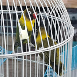 Bird Fruit Fork Fruit Spear Stick Cockatiel Macaw Foraging Toys Pet Feeder BIg - Aladdin Shoppers