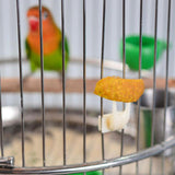 Bird Fruit Fork Fruit Spear Stick Cockatiel Macaw Foraging Toys Pet Feeder BIg - Aladdin Shoppers