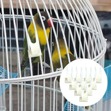 Bird Fruit Fork Fruit Spear Stick Cockatiel Macaw Foraging Toys Pet Feeder BIg - Aladdin Shoppers