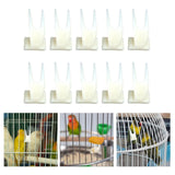 Bird Fruit Fork Fruit Spear Stick Cockatiel Macaw Foraging Toys Pet Feeder BIg - Aladdin Shoppers