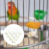 Bird Fruit Fork Fruit Spear Stick Cockatiel Macaw Foraging Toys Pet Feeder BIg - Aladdin Shoppers