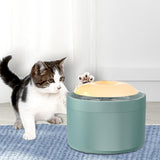 Cat Water Fountain Water Dispenser USB Multiple Pets Quiet Cats Dogs Indoor Green - Aladdin Shoppers
