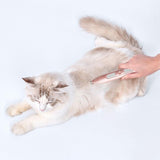 Pet Nail Hair Trimmer Dogs Clippers Kitten Low Noise Tool for Eyes Shaving Rechargeable - Aladdin Shoppers