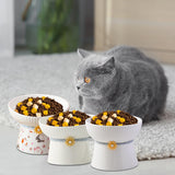 Porcelain Pet Feeder Raised Cat Dish High Foot Non Spillage Cat Dog Bowl Pattern Tilted - Aladdin Shoppers