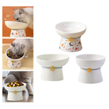 Porcelain Pet Feeder Raised Cat Dish High Foot Non Spillage Cat Dog Bowl Pattern Tilted - Aladdin Shoppers