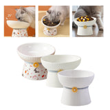 Porcelain Pet Feeder Raised Cat Dish High Foot Non Spillage Cat Dog Bowl Pattern Tilted - Aladdin Shoppers