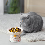 Porcelain Pet Feeder Raised Cat Dish High Foot Non Spillage Cat Dog Bowl Pattern Tilted - Aladdin Shoppers