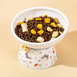 Porcelain Pet Feeder Raised Cat Dish High Foot Non Spillage Cat Dog Bowl Pattern Tilted - Aladdin Shoppers