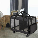 Double Compartment Pet Carrier for Two Cats Wear Resistant for Cats Travel Black - Aladdin Shoppers