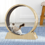 Cat Treadmill Workout Game Trainer Cat Exercise Wheel for Running Exercising Medium - Aladdin Shoppers