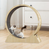 Cat Treadmill Workout Game Trainer Cat Exercise Wheel for Running Exercising Medium - Aladdin Shoppers